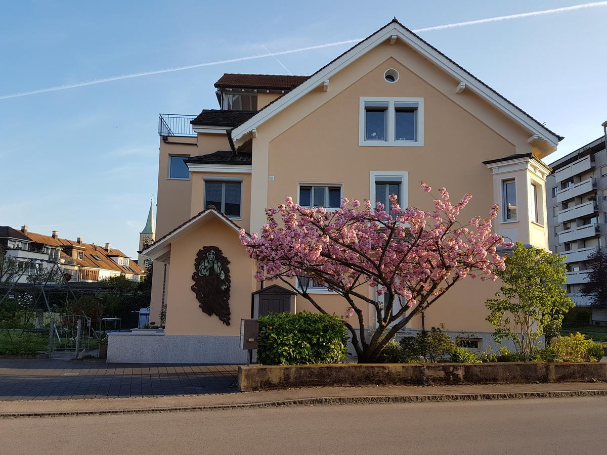 Niros Bed & Breakfast Birsfelden Exterior foto